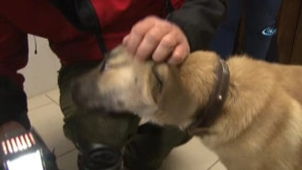 Kuyu Köpek' Ölümü Bir Kez Daha Yendi