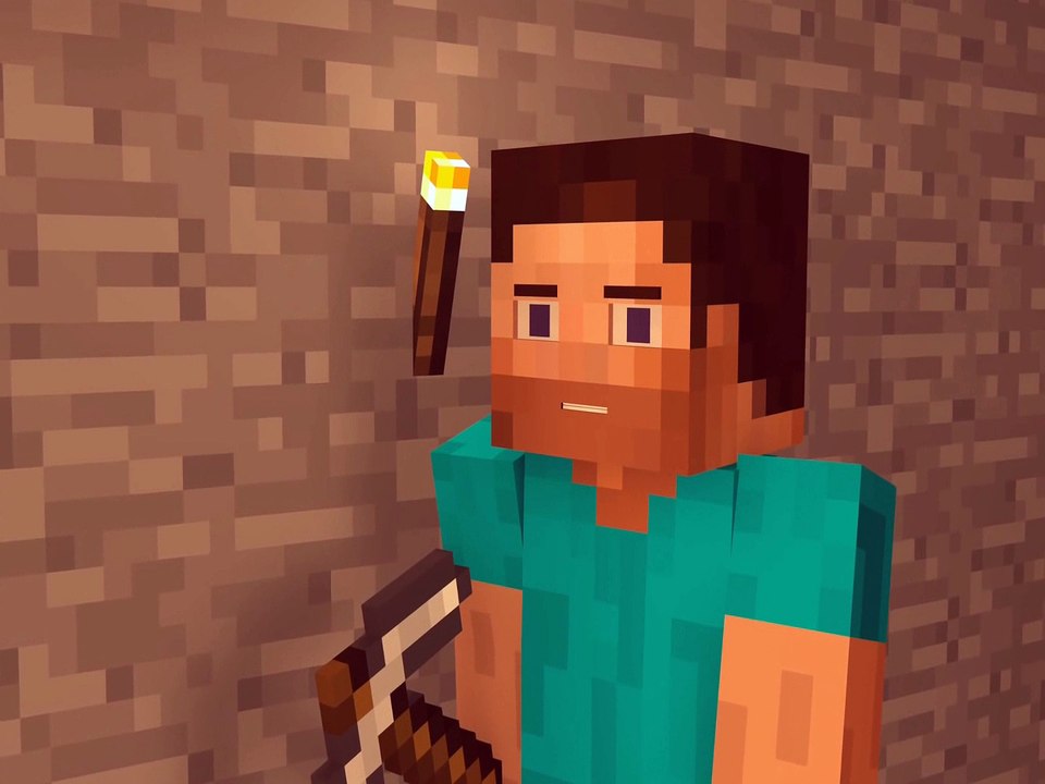 Steve and Diamond - Minecraft Animation