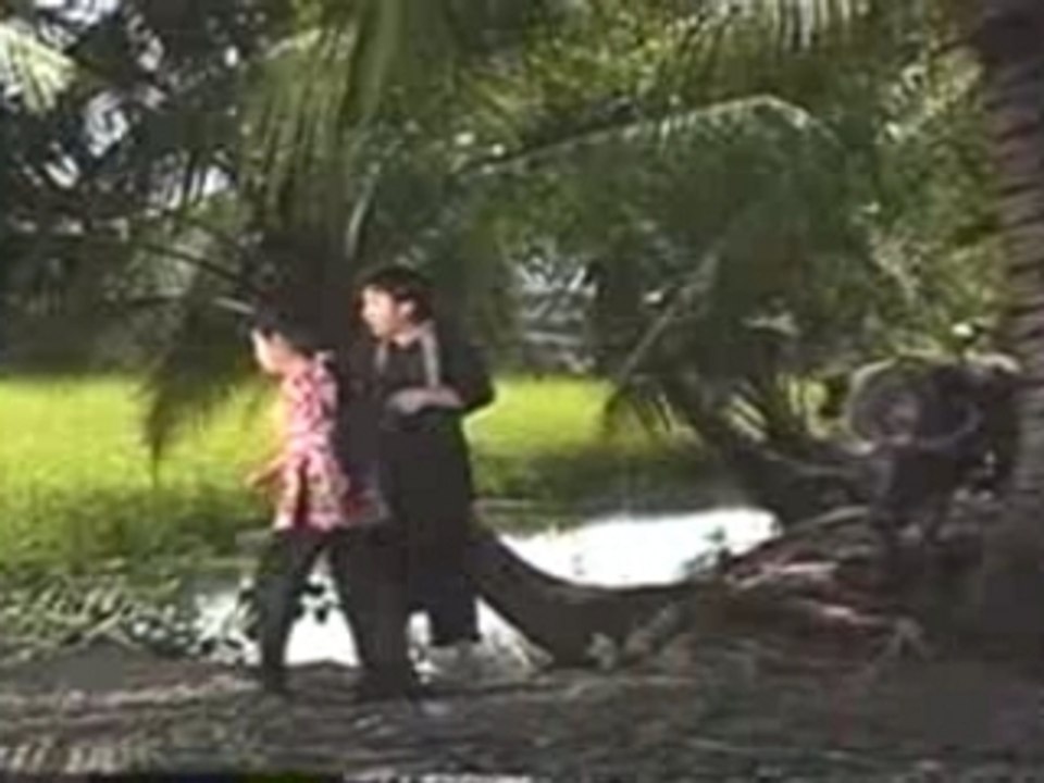 Tai linh-bi cay
