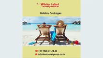 Make your travel business online with white label travel portal