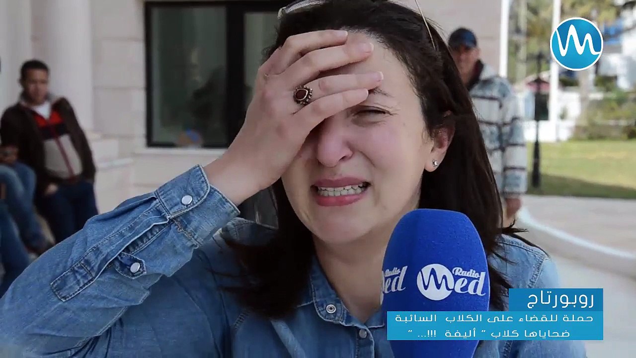 نابل - حملة للقضاء على الكلاب السائبة ، ضحاياها كلاب - أليفة ...!!! - YouTube