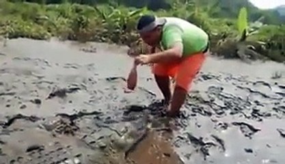 Crocodile vs Man Attack 2017  Animal Attacks.