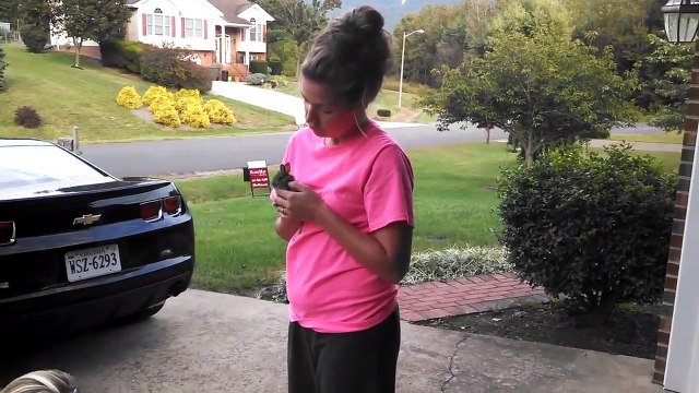 Elle relâche un bébé lapin dans sa pelouse mais le regrette immédiatement