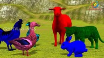 Colours Dinosaurs Movie For Kids 3D Colors Dinosaurs Cartoons For Children Dinosaur Fighti
