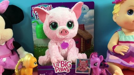 FurReal Friends U.K. - Lil Big Paws Patootie Piggy Official Demo