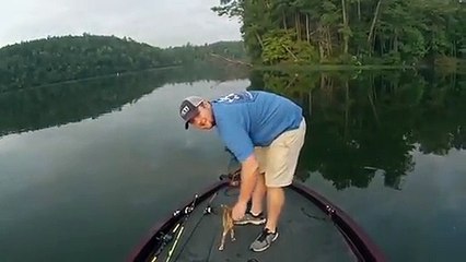 Sauvetage de deux chatons par un pêcheur