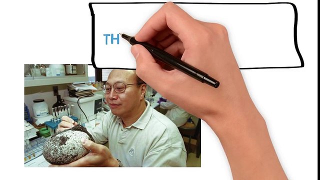 धरती के बारे में 5 चौंका देने वाले तथ्य 5 Amazing Facts About The Planet Earth