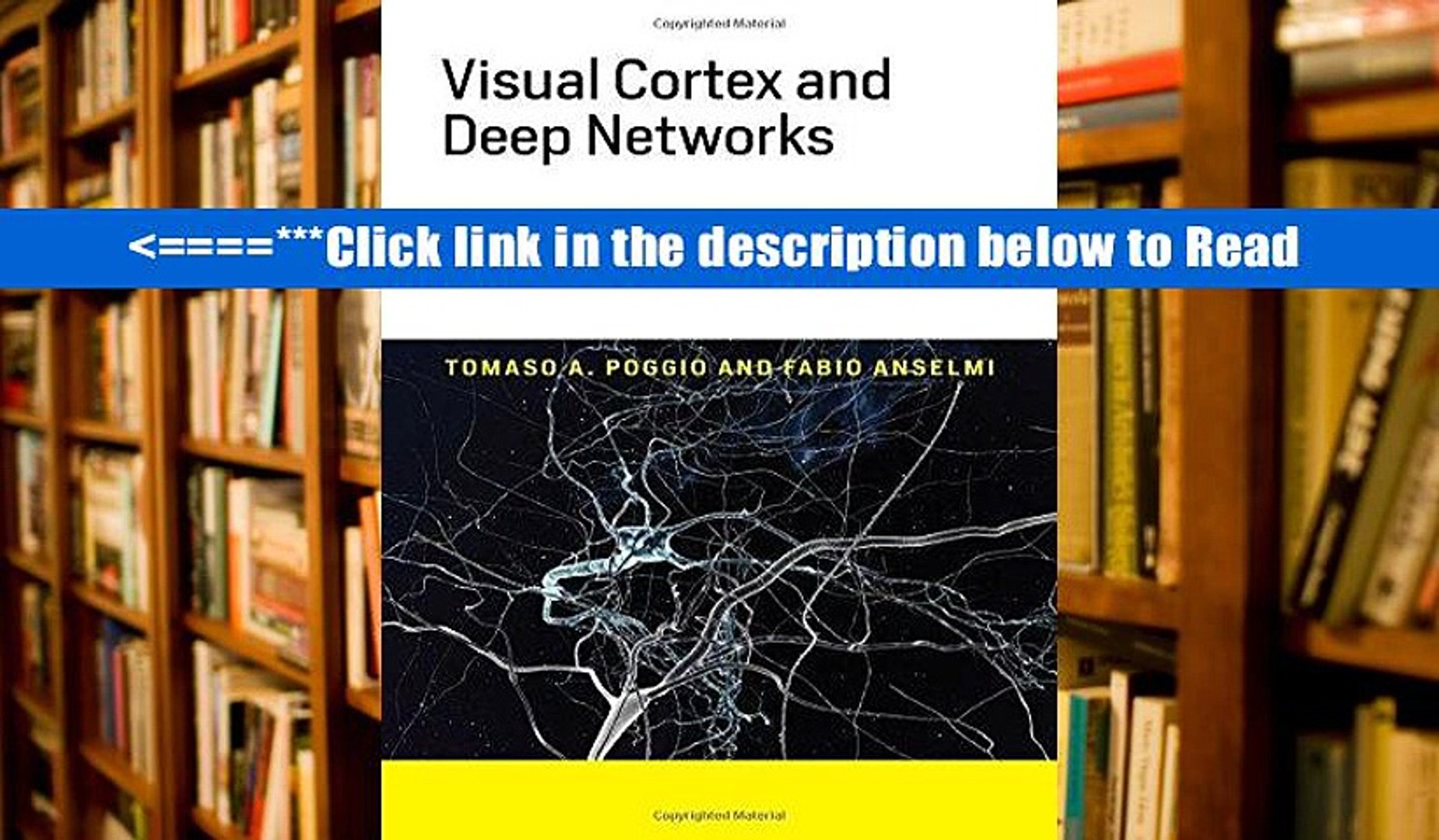 Read Visual Cortex and Deep Networks: Learning Invariant Representations (Computational
