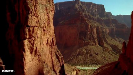 2017 Leo Rojas - Friendship--HD