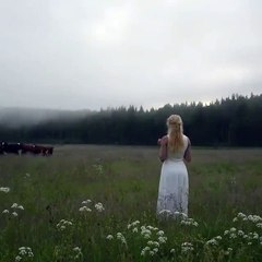 O chamado Viking - Vacas apreciando a música