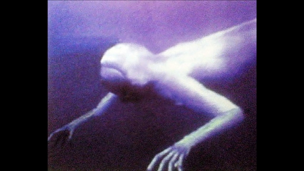 【ミステリー】未確認生物『ニンゲン・ヒトガタ』が実在か【ＵＭＡ】