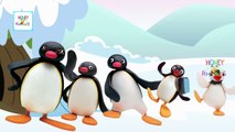 Finger Family Pingu Cartoon Animation Children Nursery Rhymes | Pingu Finger Family Songs