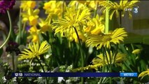 Météo : un air de printemps sur la France