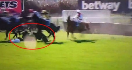 Yarışta Engele Takılıp Yere Düşen At Hayatını Kaybetti