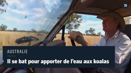 Cet Australien se bat pour apporter de l'eau aux koalas