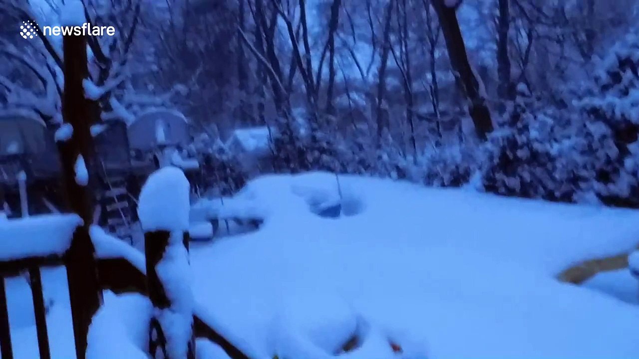 Woman struggles to find her dog after it got lost in the snow