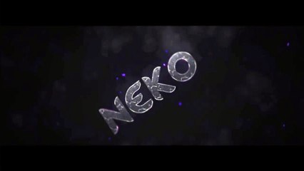 Intro -- NEKO By-Accelerator