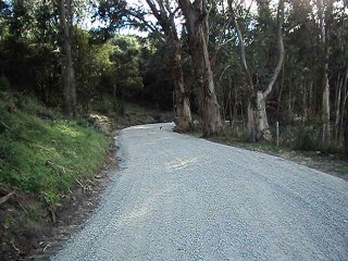 RIBELLU   BARONTINI   CORSE   AJACCIO