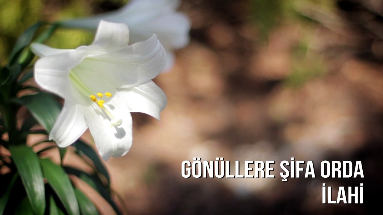 Müziksiz İlahiler - Gönüllere Şifa Orda