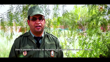 Ouarzazate, amie de l'environnement et ceinture verte