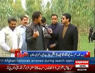 Is Imran Khan's Billion Tree Tsunami 's dream becoming a reality?