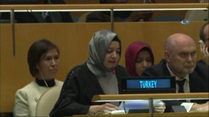 Bakan Kaya BM'de Konuştu: Hollanda'da Yaşananları Anlattı