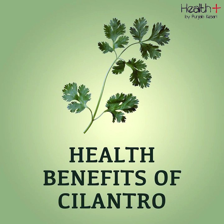 Health Benefits of cilantro