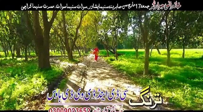Pashto New Songs 2017 Shahsawar & Sitara Younas Film Khanadani Jawargar - Mini Di Bacha Pa Malangy