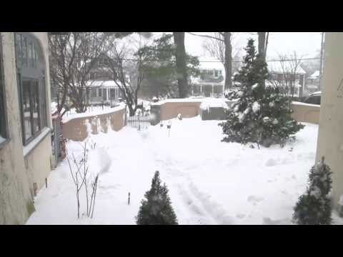 Snowstorm Quickly Covers Upstate New York Garden