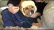 Dog Dressed in Adorable Winter Hat to Fight Freezing Weather