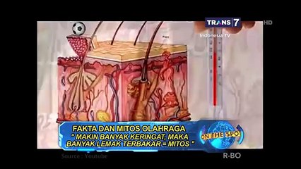 Fakta dan Mitos Olahraga [On The Spot]
