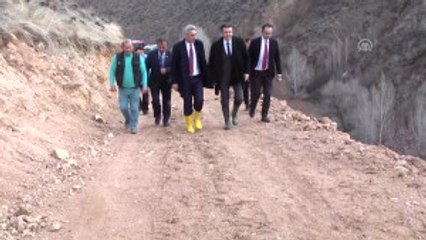 Pestil-kömeye Ceviz Üretim Desteği