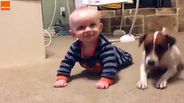 হাসতে হাসতে পেট ব্যাথা । কখনো এমন চিত্র দেখেননি আপনারা, না দেখলে মিস করবেন । পর্ব (23)