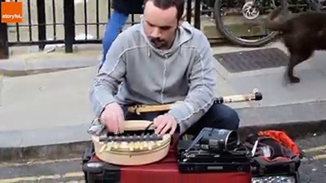 হাসতে হাসতে পেট ব্যাথা । কখনো এমন চিত্র দেখেননি আপনারা, না দেখলে মিস করবেন । পর্ব (22)