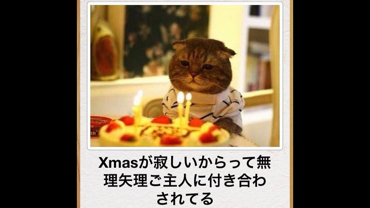 ロバート 秋山 ipponグランプリまとめ