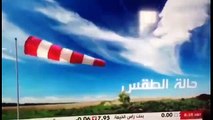 مذيعة العربية تقع في خطأ فادح على الهواء