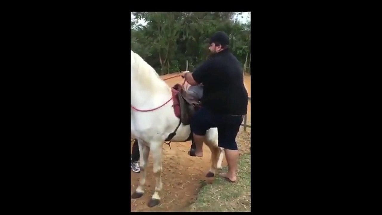 Un homme a beaucoup de mal à monter sur un cheval !