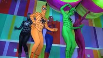 Spiderman Finger Family and Head Shoulders Knees & Toes | Superheroes Nursery Rhymes Colle