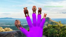 Dinosaurs Vs Animals | Dinosaur Gorilla Lion Bear Elephant Finger Family Songs Collection