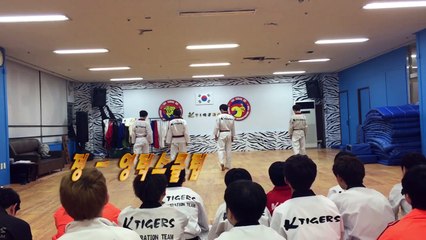 K-Tigers Junior New project 2