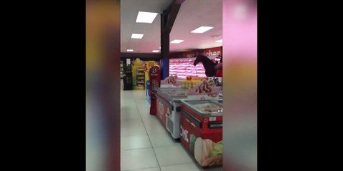 Un homme rentre dans un supermarché à cheval !