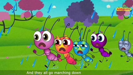 Bingo Dog Song - Nursery Rhyme With Lyrics | Cartoon Animation for Children