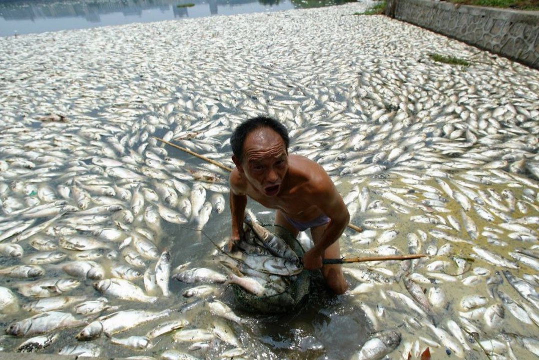 Moments choquants lorsque vous aller à la pêche, poissons impressionnante