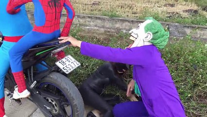 Baby driver Police car Run a red light Spiderman vs joker Frozen Elsa Funny video for kids