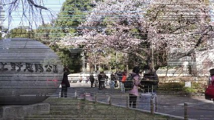 UENO PARK TOKYO JAPAN