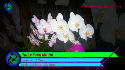 Thiên Thần Mũ Đỏ | Phạm Tuấn Ngọc | Karaoke Beat HD