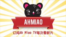 AhMiao TV 自我介绍影片|馬來西亞的貓 | 新加坡的貓