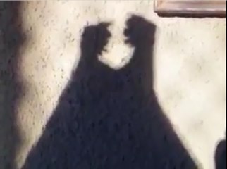 videos chistosos ( juego de sombras eroticas ) 2017