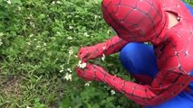 Супергерои человек-паук человек-паук сохранить халка формы ♥ в реальной жизни смешны