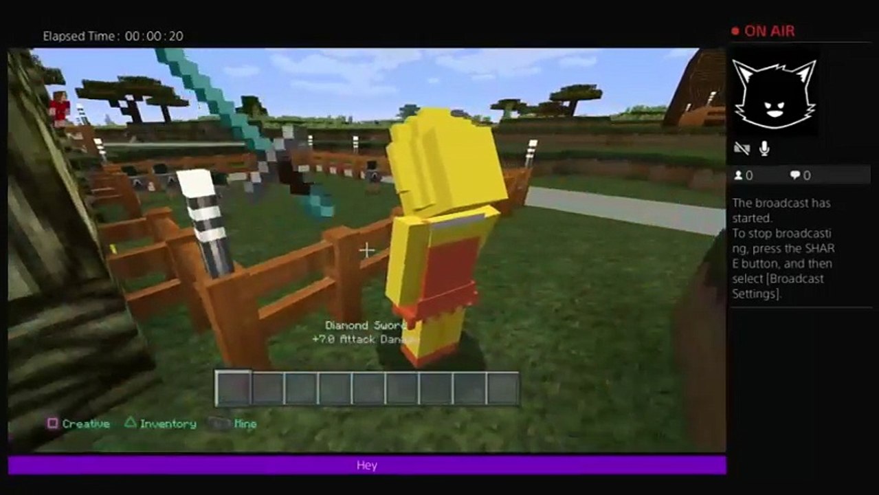 Mincraft hide and seek (14)